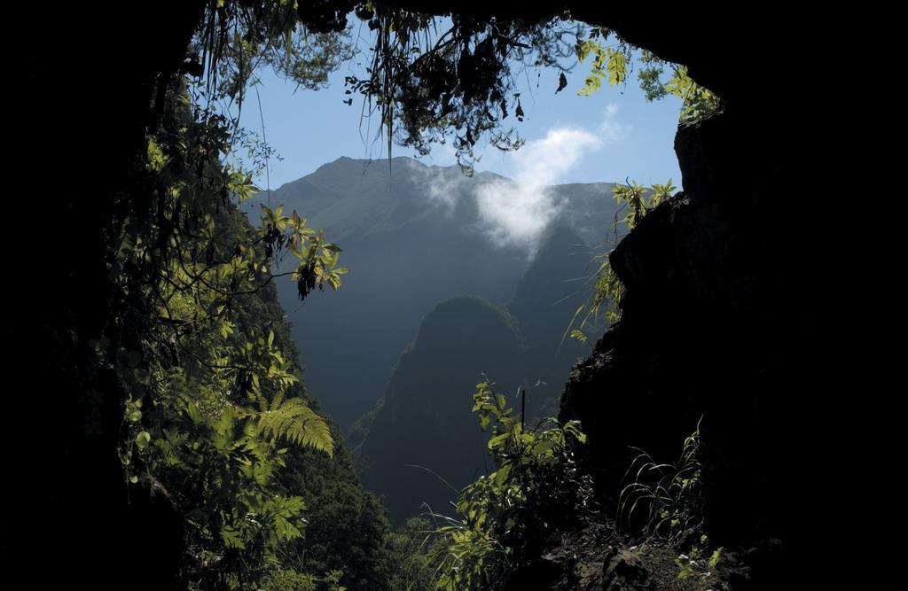 Madeira Bright Star By Petit Hotels ฟุงชาล ภายนอก รูปภาพ